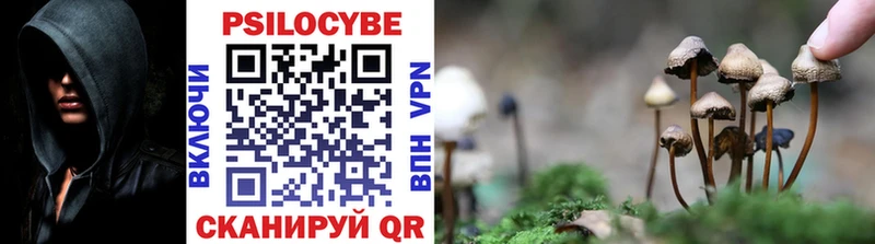 хочу наркоту  гидра зеркало  Псилоцибиновые грибы GOLDEN TEACHER  Калининец 